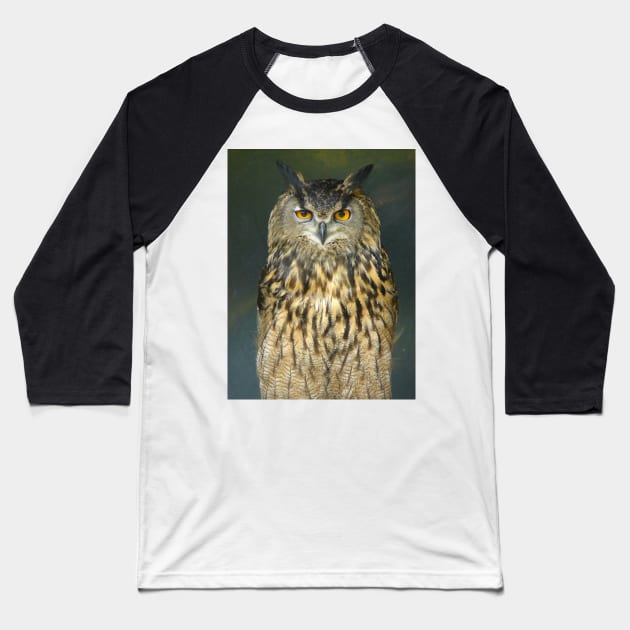 European Eagle Owl Baseball T-Shirt by Chris Petty